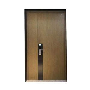 CR-0010家用工程防盗门